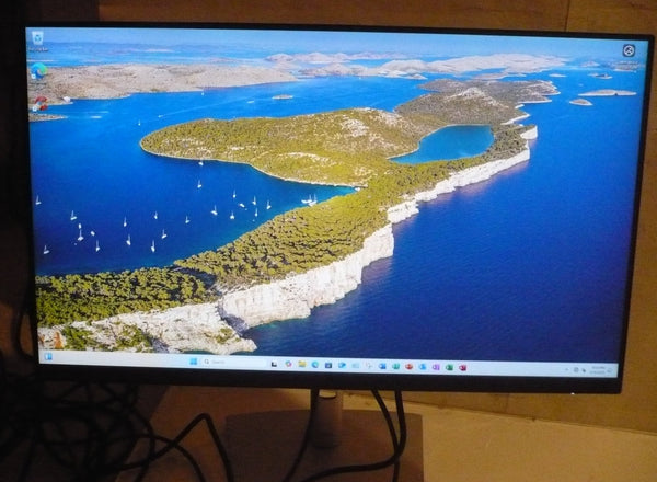 DELL P2422H TV, LIGHT USE, WITH STAND