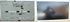 Television Panel LG LC420W02-SLA1