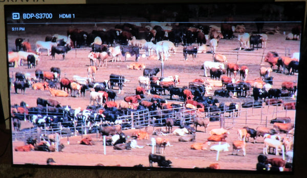 USED SONY XBR65A8G Television Grade C