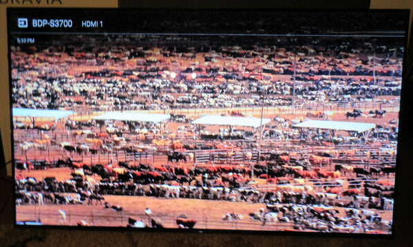 USED SONY XBR65A8G Television Grade C
