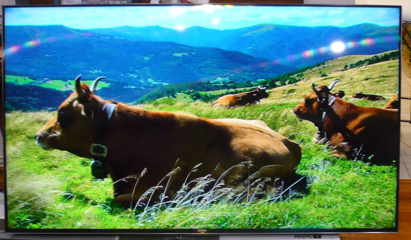 SONY XBR65X950H TV, LIGHT USE, WITH STAND AND REMOTE
